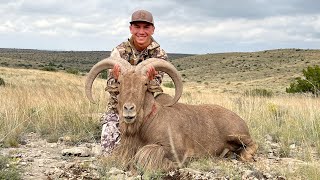 NM Barbary Sheep Hunt 2022 [upl. by Obeng226]