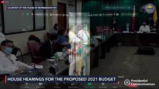 House budget hearing for DFA for 2021 fiscal year [upl. by Aruol]