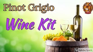 Making Kit Wine “Pinot Grigio” How to make wine [upl. by Wina529]