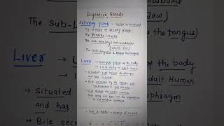 DIGESTIVE Glands  Salivary Glands LIVER amp Pancreas Class 11 BIOLOGY Ch16 Digestion [upl. by Nolyar423]