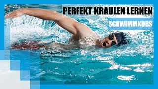 Schwimmkurs Perfekt Kraulen lernen  FIT FOR FUN [upl. by Nywroc816]