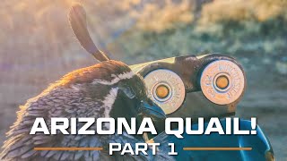 ARIZONA Quail Part 1 [upl. by Neyud]