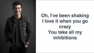 Shawn Mendes  Theres Nothing Holding Me Back Lyrics [upl. by Oramug]