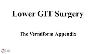 The Vermiform Appendix Surgery Complete Auditory Review by Pert Boo [upl. by Atikin]