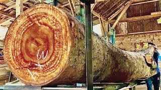 Extraordinary Look at the process of sawing wadang wood [upl. by Clerk]