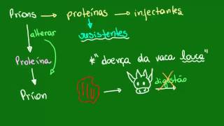 Doença da vaca louca  Diversidade dos Seres Vivos  Biologia [upl. by Brandyn867]