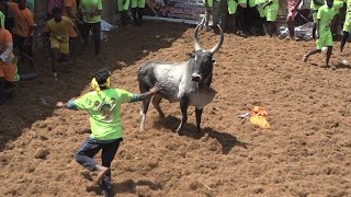 Pallavarayanpatti Jallikattu 2023 Videos 02  பல்லவராயன்பட்டி ஜல்லிக்கட்டு 2023 Videos 02 [upl. by Sheridan]