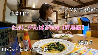 たまにがんばるVlog【群馬編】 [upl. by Irma552]