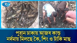 পুরান ঢাকায় নর্দমা থেকে দেশি মাছ শিকার করছে শ্রমজীবী মানুষ  Old Dhaka  Fish  Rtv News [upl. by Olsewski]