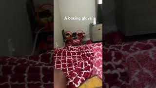 A boxing glove [upl. by Vitoria]