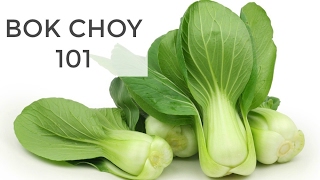 Bok Choy 101  Everything You Need to Know [upl. by Becket]