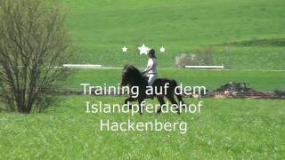 Islandpferde Training [upl. by Inesita542]