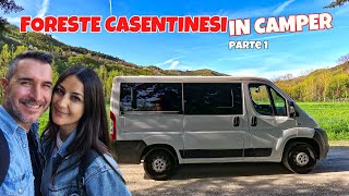 FORESTE CASENTINESI IN CAMPER 🚐 Notte thriller e panorami da urlo 😱 [upl. by Yhprum]