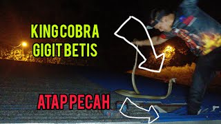 KES TRAGIS 29 RAMADAN  ANTARA HIDUP DAN MATI KAKI DI SAMBAR KING COBRA [upl. by Brenan]