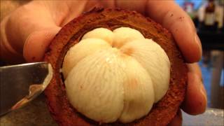 How to prepare a Mangosteen [upl. by Tiloine740]