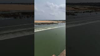 Dowleswaram Barrage  godavari  rajahmundry  rivers  village  nature  love  mental piece [upl. by Epps]