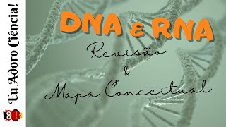 DNA e RNA Revisão e Mapa Conceitual [upl. by Inness]