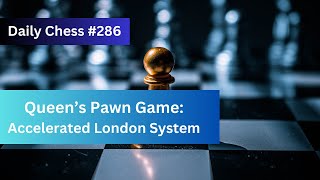 Daily Ches 286 Accelerated London System chess shorts [upl. by Ahtebat]