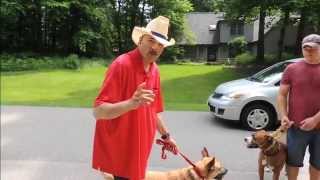 Dog Aggression While Walking  DOG INTERVENTION Dog Whisperer BIG CHUCK MCBRIDE [upl. by Gittle]