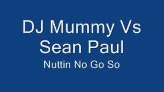 Dj Mummy Vs Sean Paul  Nuttin No Go So Remix [upl. by Brew484]