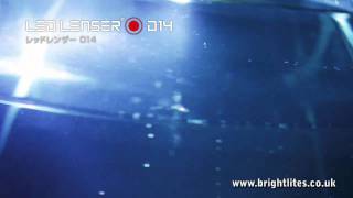 LED Lenser D14 Dive Torch Demo Brightlitescouk [upl. by Abba72]