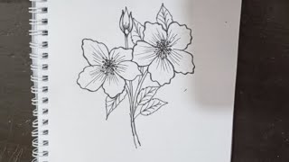 Beautiful and easy flower drawingflower drawing [upl. by Anohr]