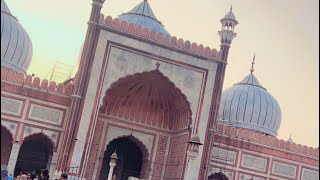 First time Exploring Delhi’s Iconic Jama Masjid [upl. by Iasi215]