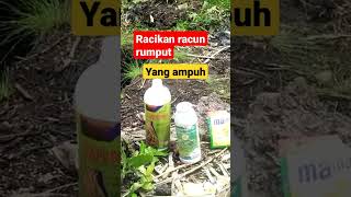 racikan racun rumput yang ampuh [upl. by Jacie]