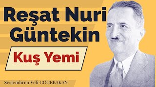 Reşat Nuri Güntekin  Kuş Yemi Sesli Hikaye [upl. by Zirtaeb]