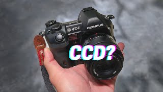 Whats So Special About CCD Colors [upl. by Klimesh518]