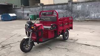 Zonlon Tricycle Motorcycletricycle motocycle motorcycles [upl. by Lala]