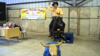 Equicizer Calf Roping Demonstration [upl. by Thapa]