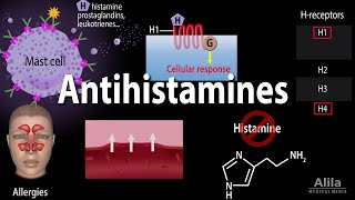 Histamine and Antihistamines Pharmacology Animation [upl. by Dowling]