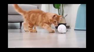 Balle rotative pour chat  Balle souris automatique pour chat [upl. by Arbba]