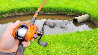 This SMALL Pond is LOADED w GIANT Bass [upl. by Kciregor]