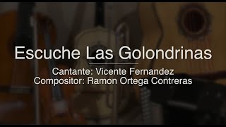 Escuche Las Golondrinas  Puro Mariachi Karaoke  Vicente Fernandez [upl. by Lot]