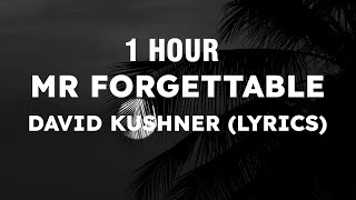 1 HOUR Mr Forgettable  David Kushner Lyrics [upl. by Analiese]