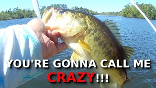 THIS Is When Summer Bass Fishing Is EASIEST [upl. by Dnalyr]