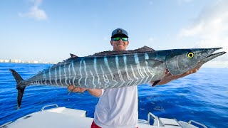 Most PRIZED Deep Sea Fish Catch Clean Cook Wahoo [upl. by Rocker]