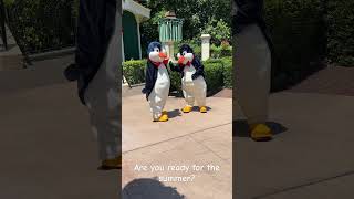 Mary Poppins penguins ready for summer  Epcot Walt Disney World disneyshorts disneylife [upl. by Akimaj303]