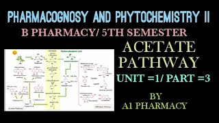 Acetate pathway  pharmacognosy and phytochemistry 2 unit 1  part3 [upl. by Adnilasor]