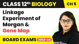 Class 12 Biology Ch 5 Linkage Experiment of Morgan amp Gene MapPrinciples of Inheritance amp Variation [upl. by Norabel]