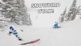 Is Snowbird The BEST POWDER RESORT in UTAH [upl. by Penn611]