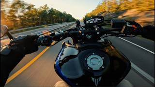 Yamaha MT 09 SP 2020 Performance  Top Speed  0100  Wheelies 4K [upl. by Ile]