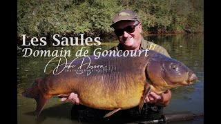 Les Saules Goncourt Complex Carp Fishing France Trips [upl. by Anayia]