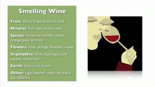 Wine Basics from My Wine Smarts [upl. by Stichter]