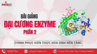 Hóa Sinh Enzyme  2 Cách Phân Loại Và Gọi Tên Enzyme P1  Trung Tâm Đào Tạo Y Khoa MedUC [upl. by Eneja]