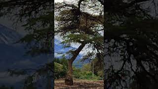 Mawenzi and Kibo views during rainy season [upl. by Rab229]