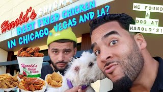 Harold’s Chicken Shack has the BEST fried Chicken in Chicago Vegas and LA [upl. by Enia]