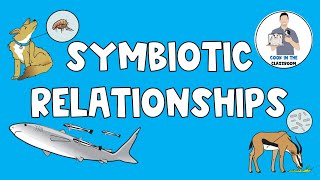 Symbiotic Relationships [upl. by Russom]